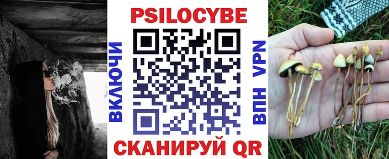 Псилоцибиновые грибы прущие грибы  цена   Салаир 